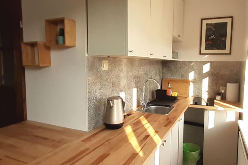 Lemuria Apartament Szkolna Centrum Legnica Ngoại thất bức ảnh