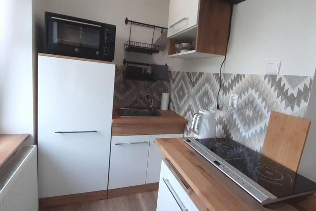 Lemuria Apartament Szkolna Centrum Legnica Ngoại thất bức ảnh