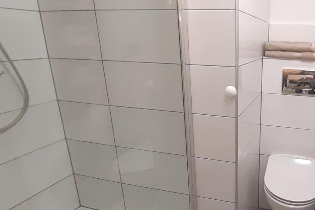Lemuria Apartament Szkolna Centrum Legnica Ngoại thất bức ảnh
