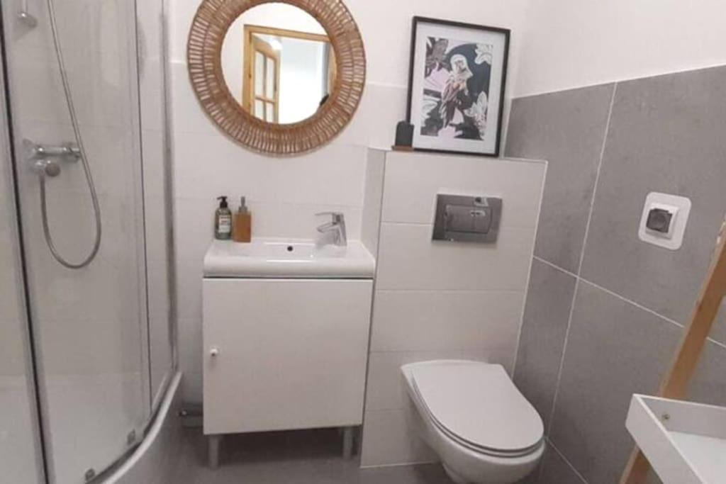Lemuria Apartament Szkolna Centrum Legnica Ngoại thất bức ảnh